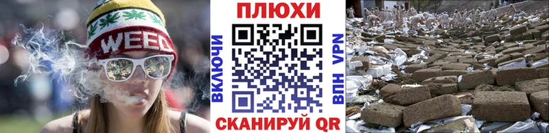 ГАШ Premium  Купить  Звенигород 