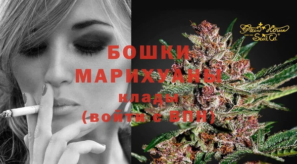 гашик Кулебаки
