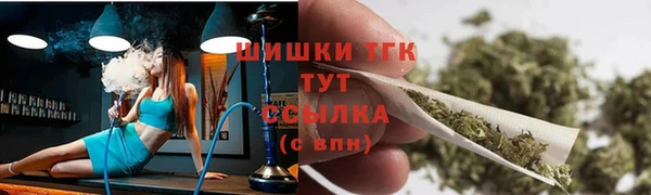 стафф Лабытнанги